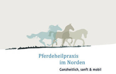 Pferdeheilpraxis im Norden