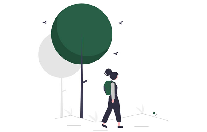 Wandern stärkt das Immunsystem