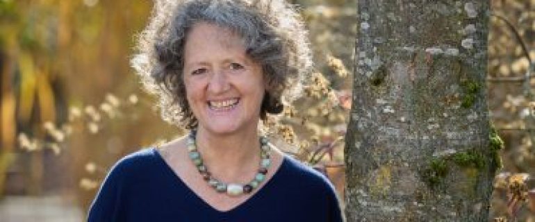 Online-Seminar für Anwender mit Erfahrung