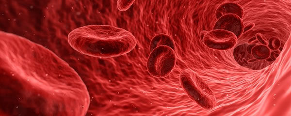 Dunkelfeld-Blutdiagnostik