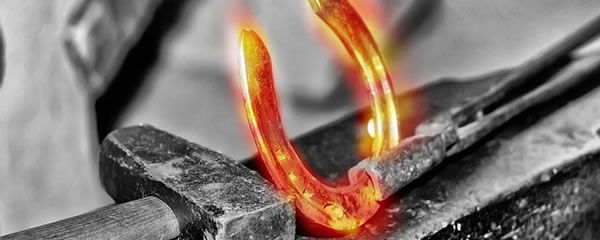 Schwermetallausleitung