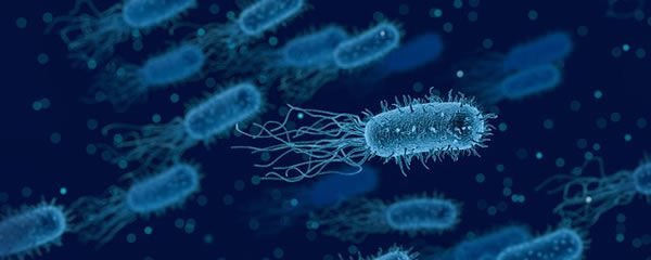 Symbioselenkung-Darmsanierung