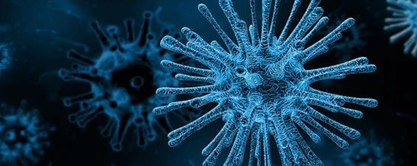 Herpes-simplex Infektionen durch Herpesviren